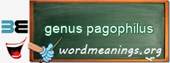 WordMeaning blackboard for genus pagophilus